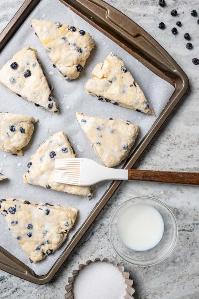 Rich, flaky and dotted with chewy dried blueberries, these blueberry scones are a bakery-style treat you can easily make at home! Brushing milk onto unbaked blueberry scones