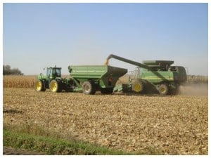 combining corn
