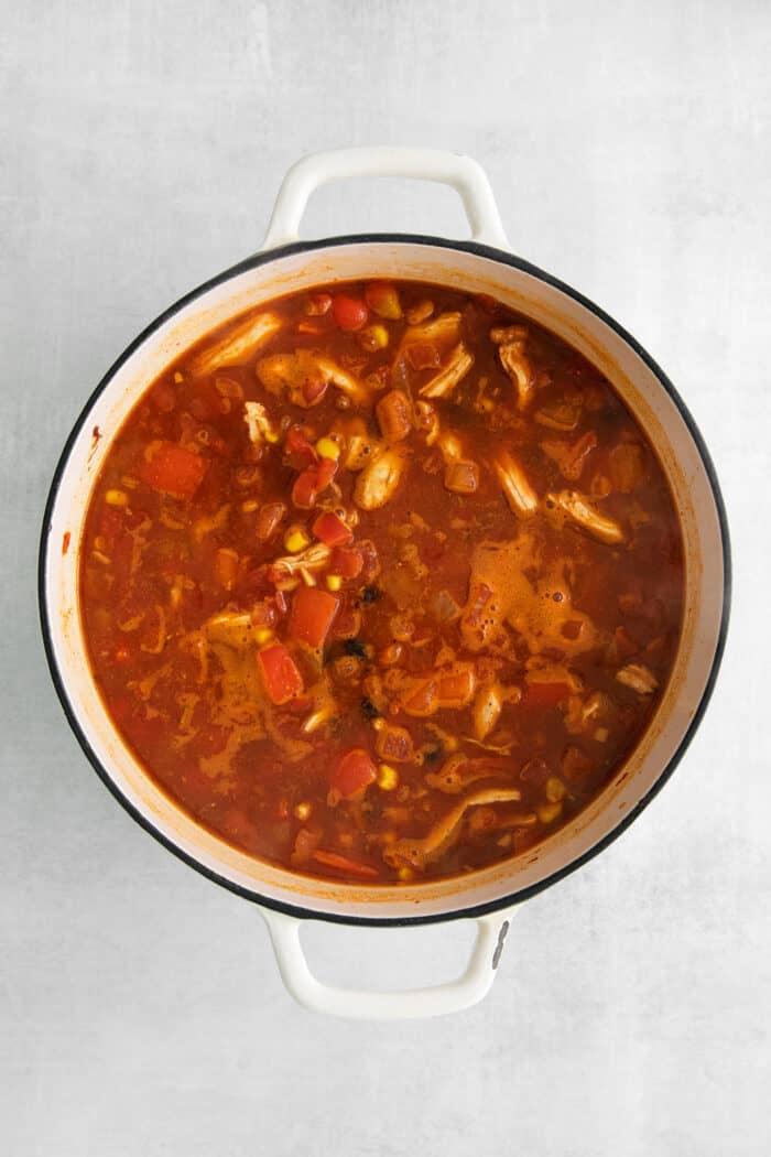 This easy chicken tortilla soup recipe is loaded with Mexican-style flavor, ready in 40 minutes! A perfect one pot soup recipe for weeknights! Overhead view of chicken tortilla soup in a pot