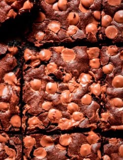 Closeup view of sliced fudgy brownies with chocolate chips