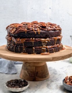 Whole turtle cake on cake stand.