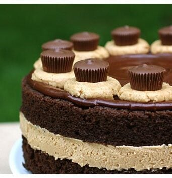 Chocolate cake with peanut butter filling topped with chocolate ganache and peanut butter cups