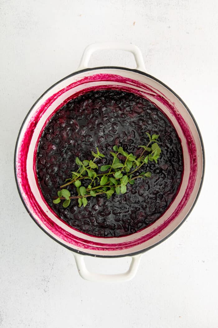 Made with just 4 ingredients, this Homemade Blueberry Jam with Mint is dark and fruity, with a sweet but cool and refreshing flavor. Mint steeping in blueberry jam