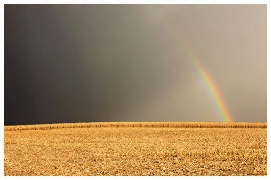 A Rainbow in a Cloudy Gray Sky