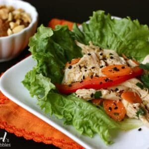 A Plate of Asian Chicken Salad on a Bed of Lettuce with Sliced Tomatoes and Carrots