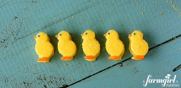Five chocolate covered marshmallow chicks lined up on a table