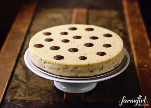 Creamy cheesecake is infused with the flavor of toffee and dotted with chocolate. This homemade cheesecake is sure to be a crowd-pleaser! a toffee cheesecake on a white cake stand