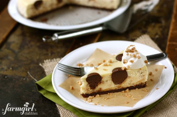 Creamy cheesecake is infused with the flavor of toffee and dotted with chocolate. This homemade cheesecake is sure to be a crowd-pleaser! a slice of chocolate toffee cheesecake