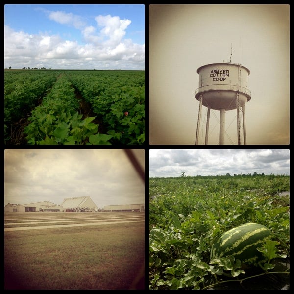 a collage of photos from arbyrd, missouri