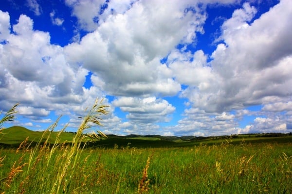 prairie land