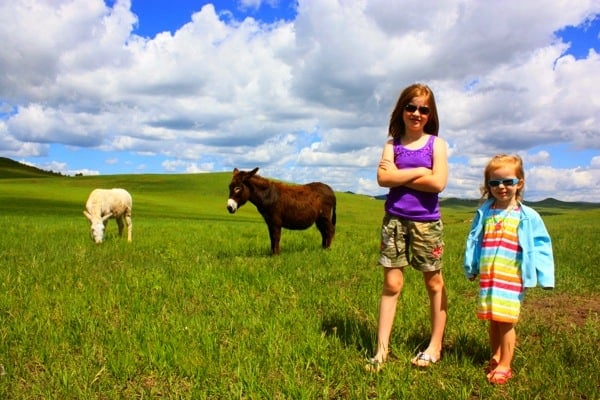 two girls and two burros