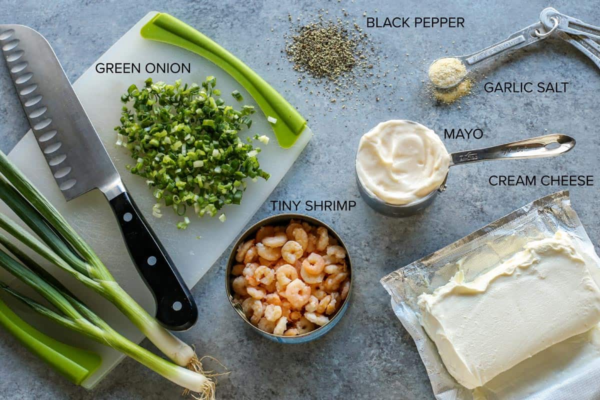 This shrimp dip recipe is an easy appetizer, made with just a few ingredients. It's thick and creamy, and full of tender, juicy shrimp! Green onions, cream cheese, mayo, tiny shrimp, black pepper, and garlic salt.