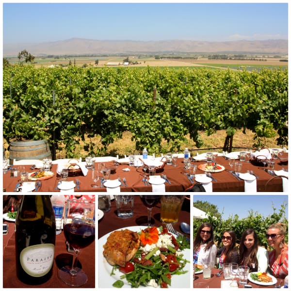 lunch in a vineyard