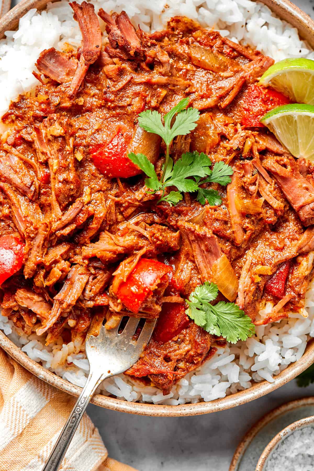 With fall-apart tender beef, fragrant spices, and a creamy coconut broth, this easy Slow Cooker Beef Curry is even better than takeout! Overhead view of slow cooker beef curry in bowl with rice