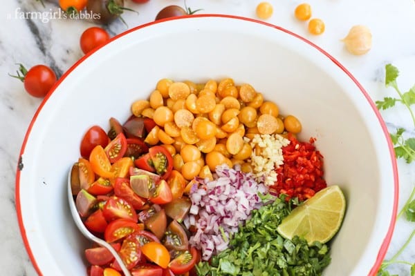 a bowl of Salsa