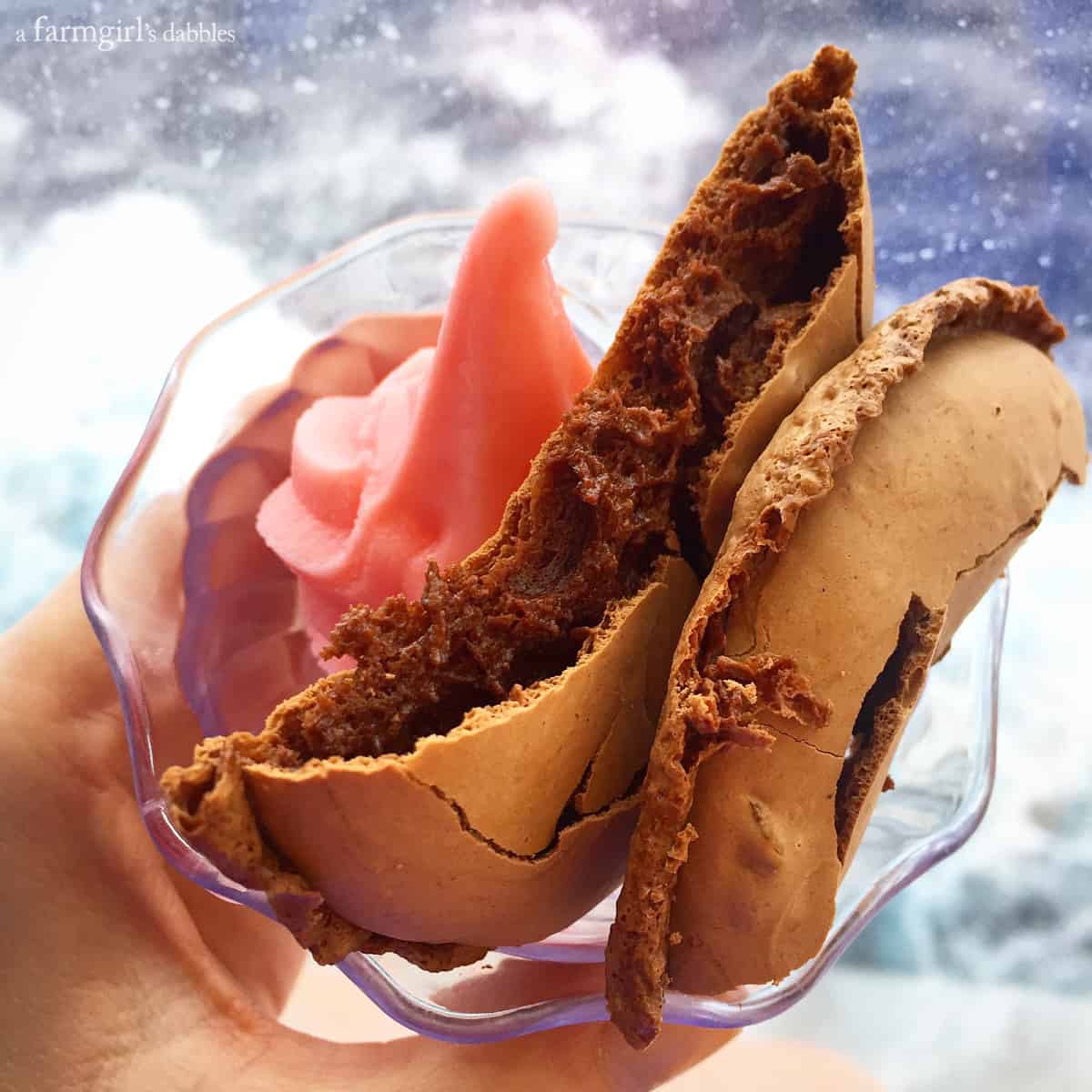 chocolate meringue cookies and strawberry ice cream board the Carnival Breeze