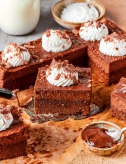 Nutella cheesecake bar held on cake server.