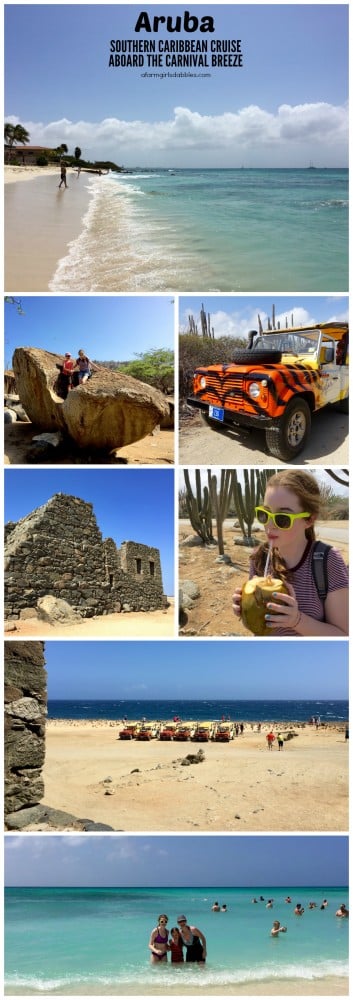 pinterest image of Aruba Island Tour