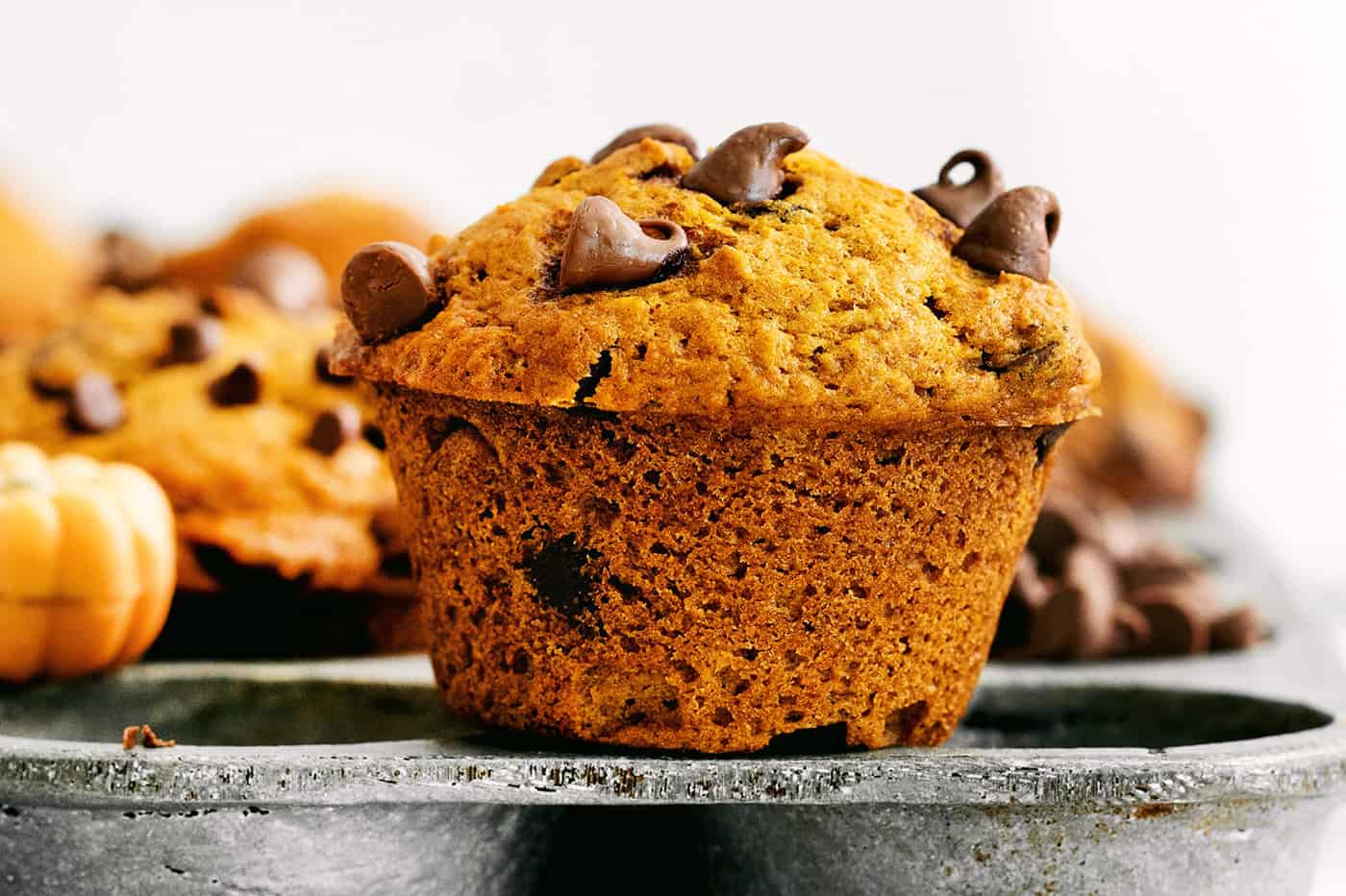 This fluffy pumpkin chocolate chip muffins recipe with warm spices will be your go-to baking project for a lovely fall brunch. Recipe card photo for pumpkin chocolate chip muffins.