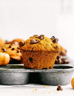 Fluffy, freshly baked pumpkin chocolate chip muffins.