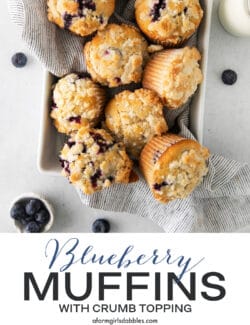 Overhead view of blueberry muffins in a pan