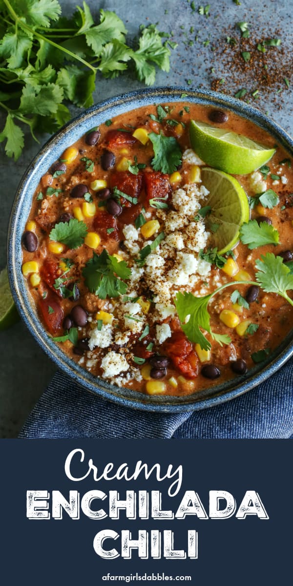 Creamy Enchilada Chili is brimming with tasty bites. In every spoonful, you'll savor the flavors of enchiladas...without tortillas! pinterest image of a bowl of Creamy Enchilada Chili