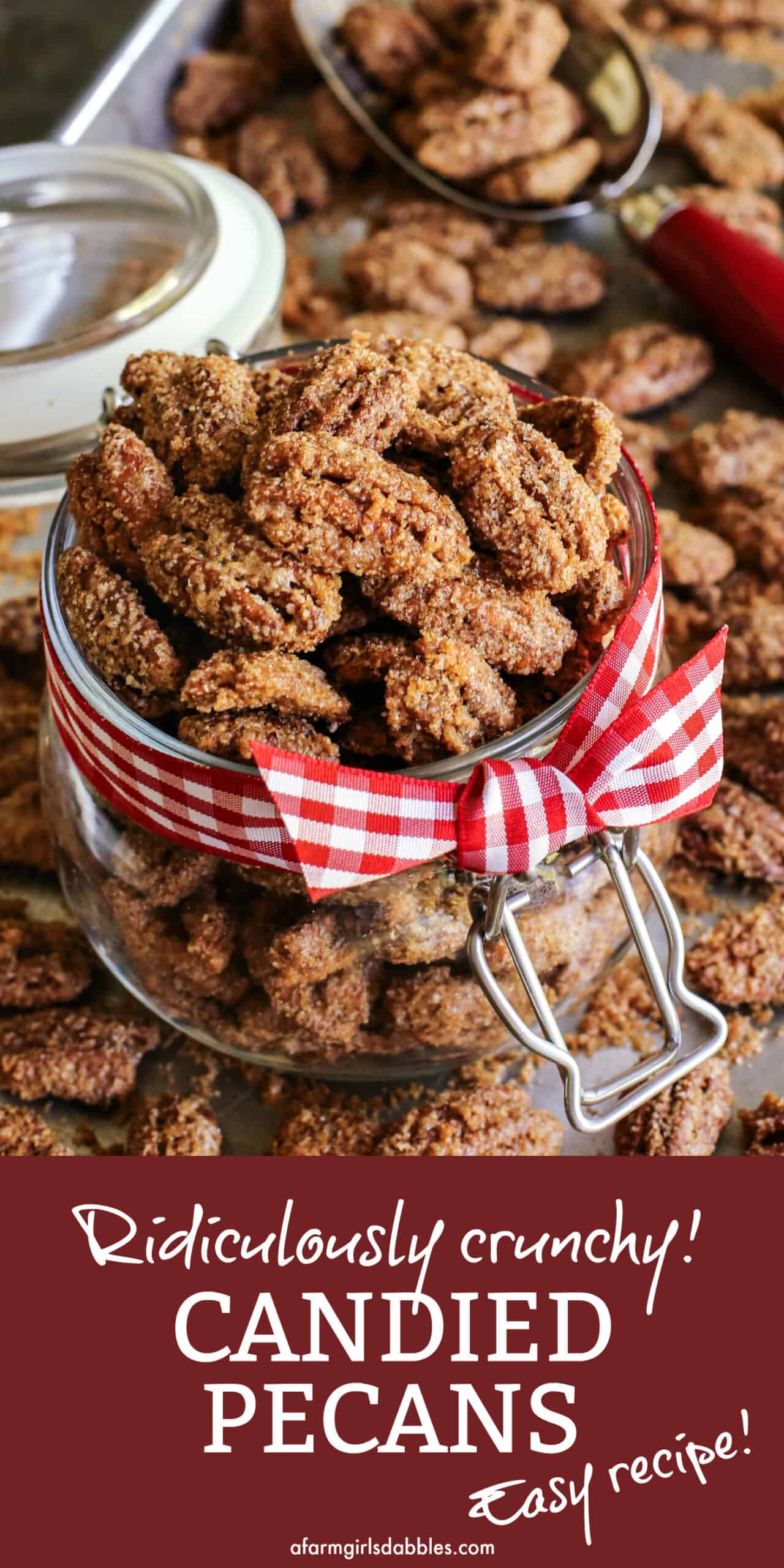 Crunchy candied pecans recipe for a sweet and salty treat with just a hint of heat. The perfect snack, salad topper, or edible gift! Pinterest image of candied pecans in a jar
