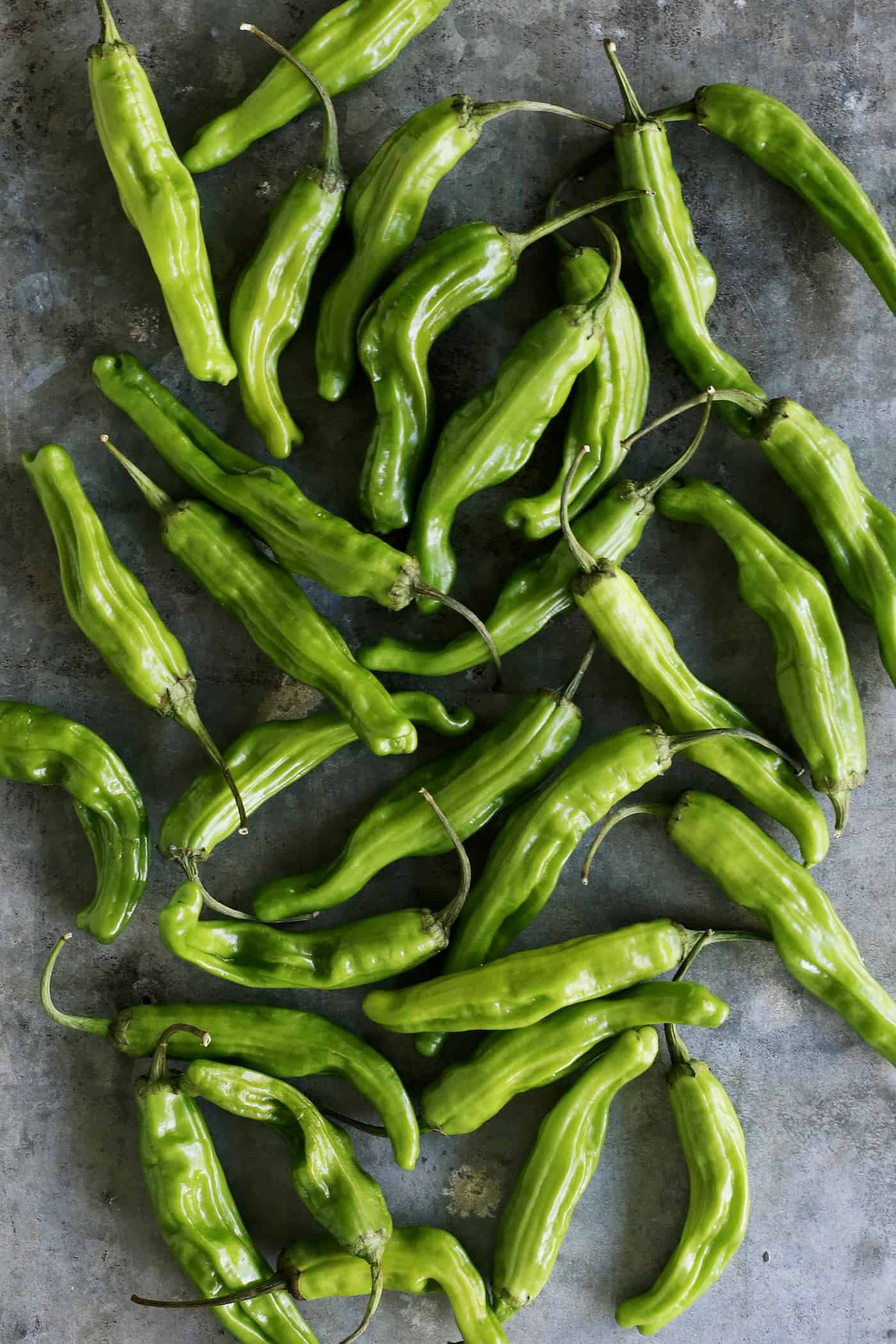 This Blistered Shishito Peppers recipe comes together quickly, with just a few ingredients - one of the easiest appetizers you'll ever make! fresh shishito peppers on a gray counter
