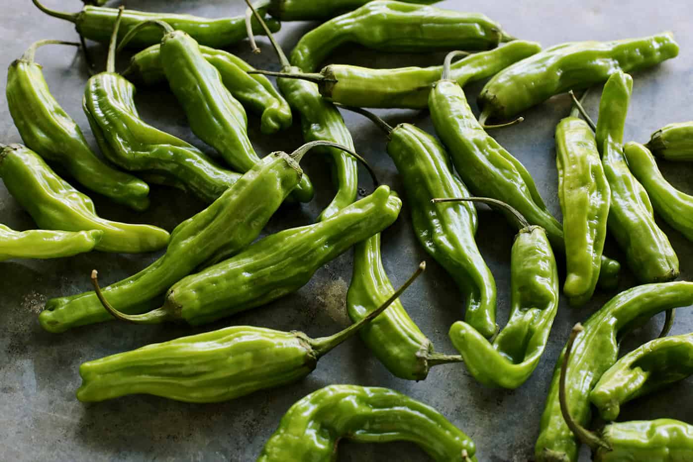This Blistered Shishito Peppers recipe comes together quickly, with just a few ingredients - one of the easiest appetizers you'll ever make! fresh shishitos on a gray counter