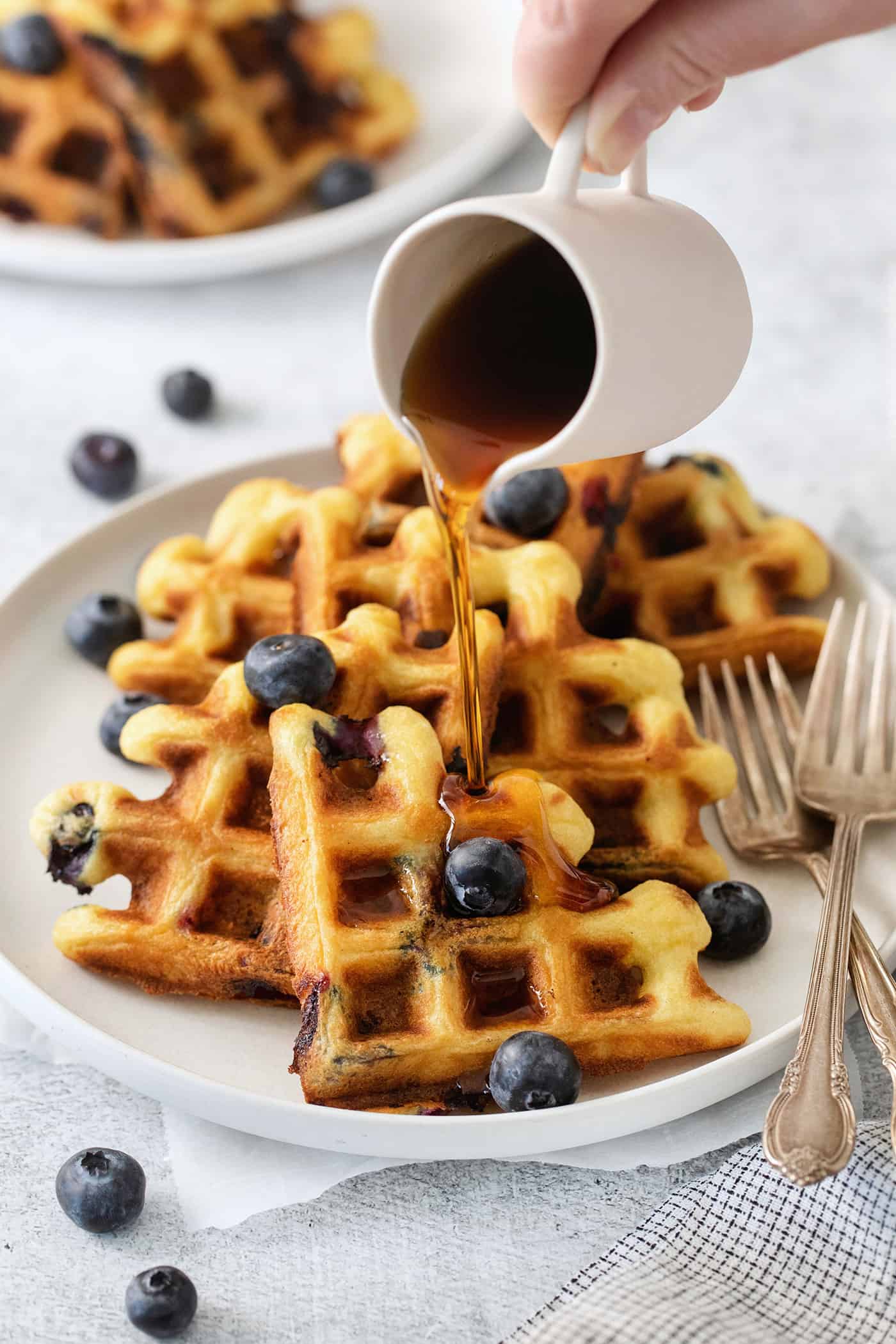 Simple and wholesome, these Blueberry Waffles are sure to please. Serve them to Mom on her special day or make them for the whole family!