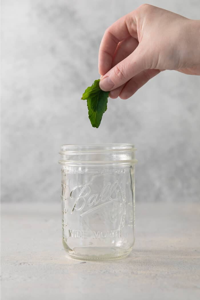 Crisp and refreshing, a Classic Mojito is the only mojito recipe you truly need! Lime juice, mint, and rum make this wonderful cocktail. A hand adds mint to a ball jar.
