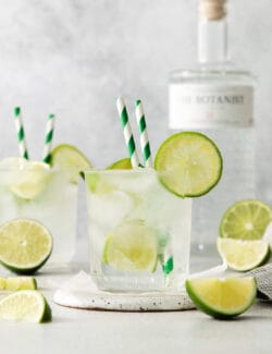 Glasses of gin and tonic with and lime circles and wedges.