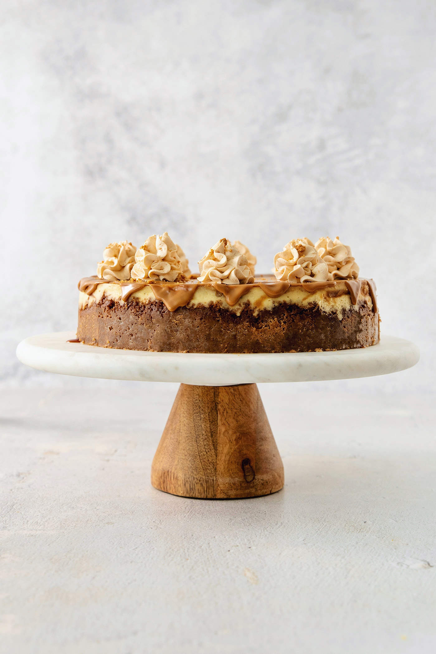 This Biscoff Cheesecake balances a rich cream cheese layer swirled with Biscoff cookie butter on a buttery cookie crust. A biscoff cheesecake topped with butterscotch whipped cream is shown on a cake stand.