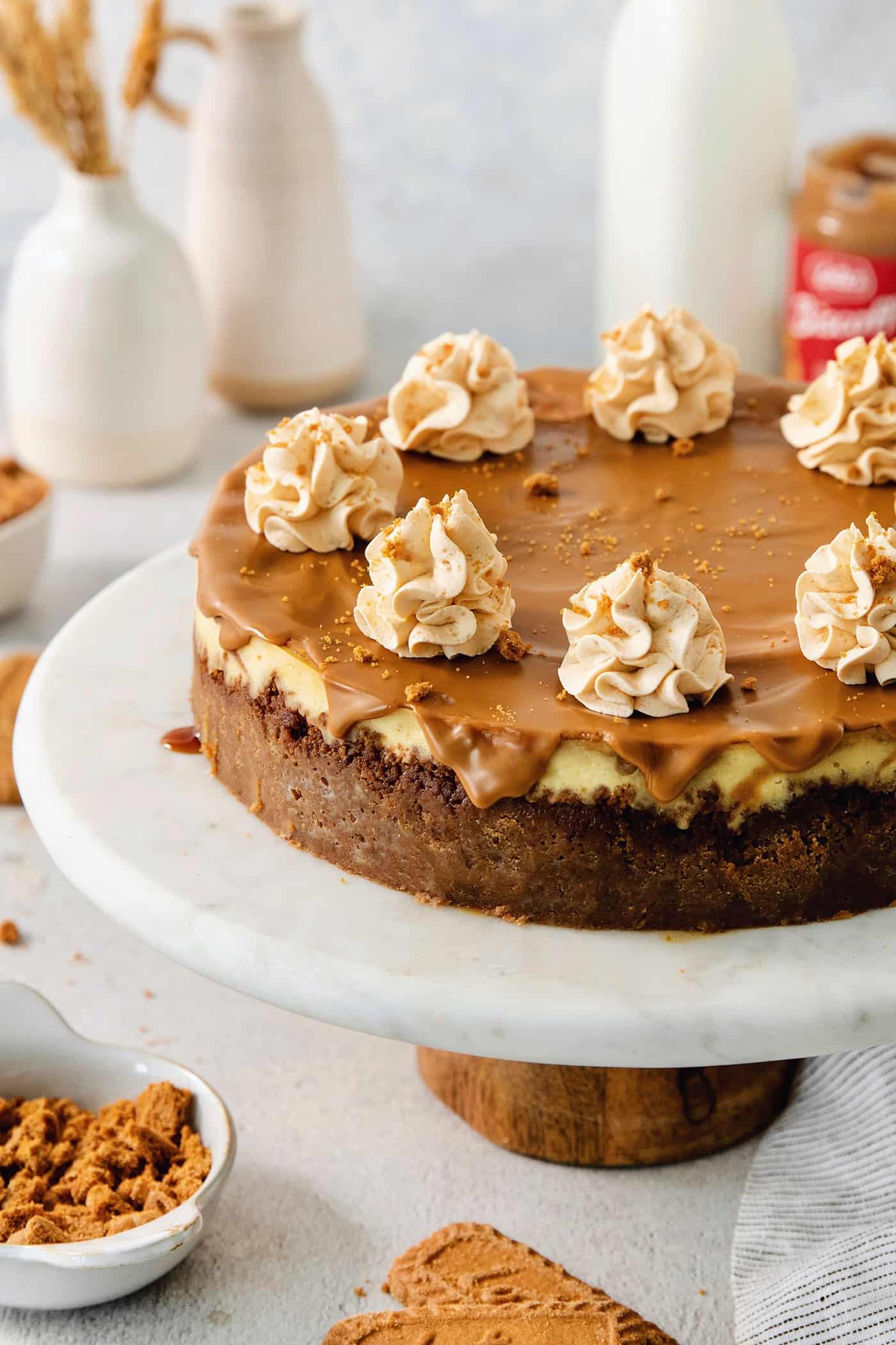 This Biscoff Cheesecake balances a rich cream cheese layer swirled with Biscoff cookie butter on a buttery cookie crust. A biscoff cheesecake topped with butterscotch whipped cream is shown on a cake stand.