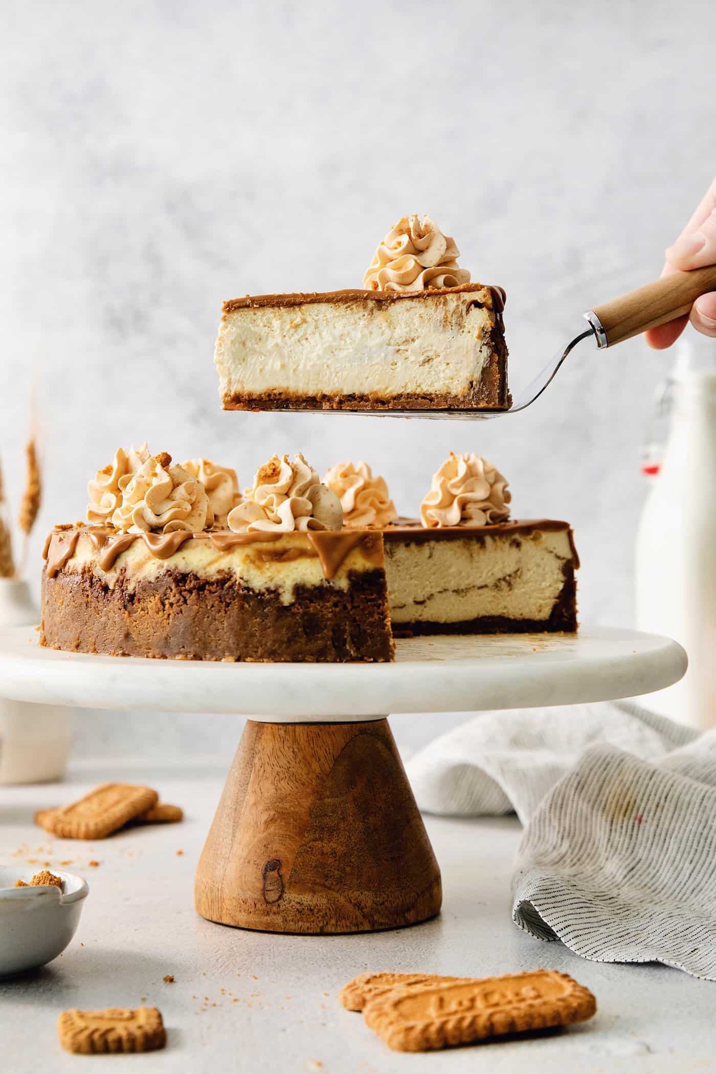This Biscoff Cheesecake balances a rich cream cheese layer swirled with Biscoff cookie butter on a buttery cookie crust. A biscoff cheesecake topped with butterscotch whipped cream is shown on a cake stand.