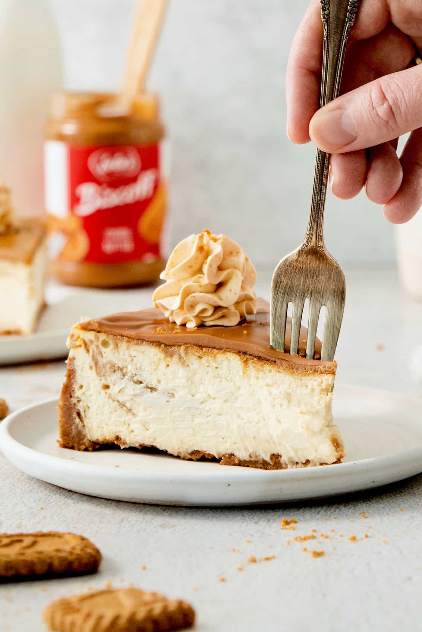 This Biscoff Cheesecake balances a rich cream cheese layer swirled with Biscoff cookie butter on a buttery cookie crust. A fork cuts into a slice of biscoff cheesecake on a white plate.