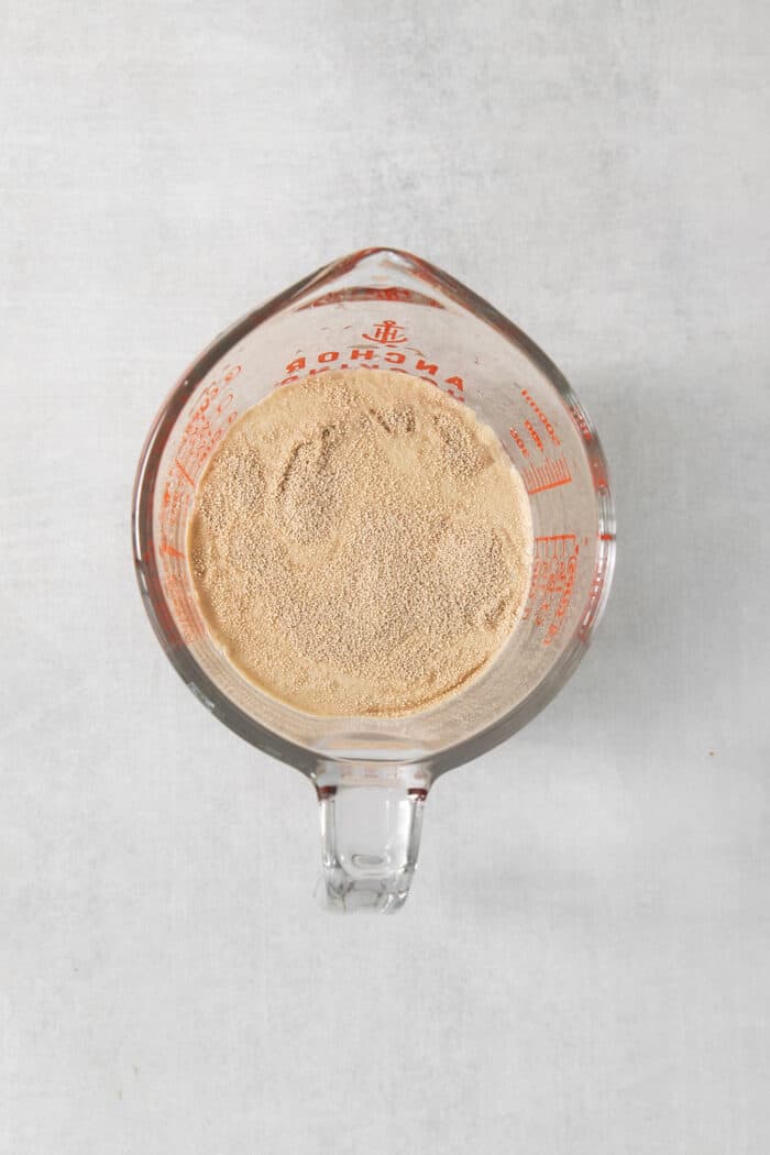These copycat Rhodes Rolls are light and fluffy with a tender crumb and delicate flavor. Perfect for holiday meals! A top down shot of yeast proofing in a glass measuring cup.