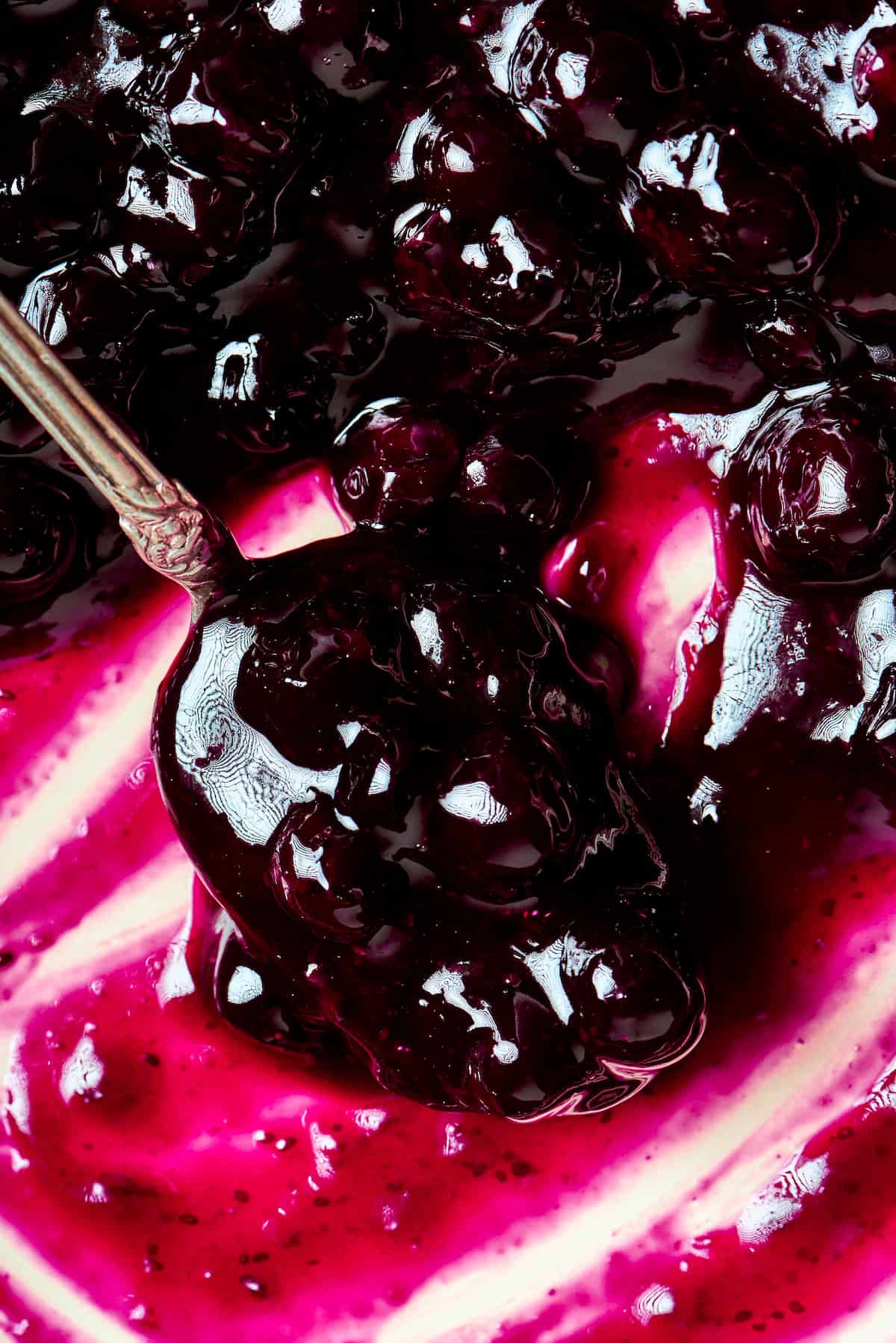close-up photo of blueberry sauce
