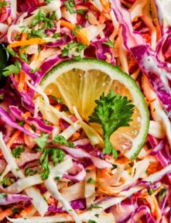 A slice of lime sits on top of a bowl of jalapeño slaw.
