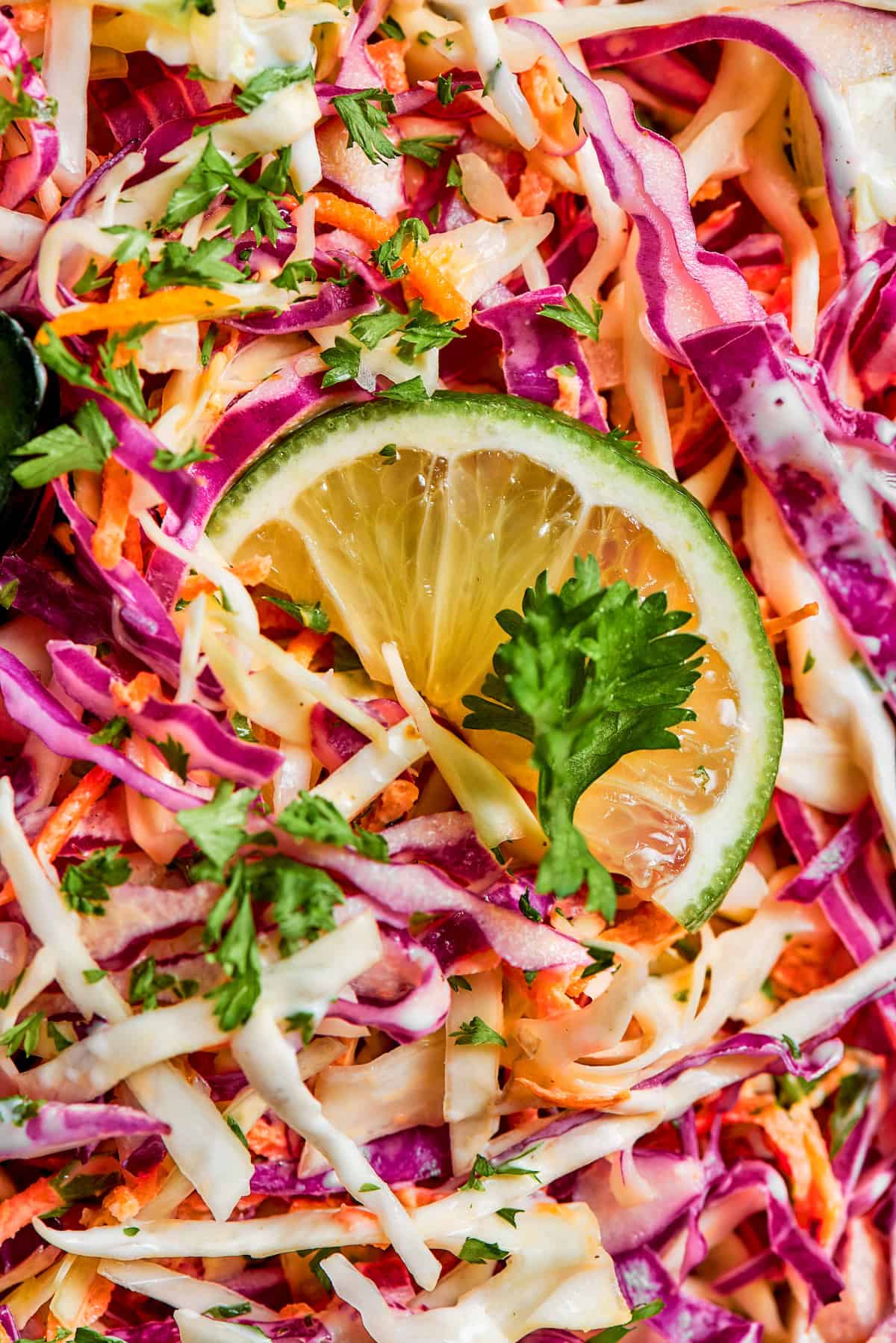 A slice of lime sits on top of a bowl of jalapeño slaw.