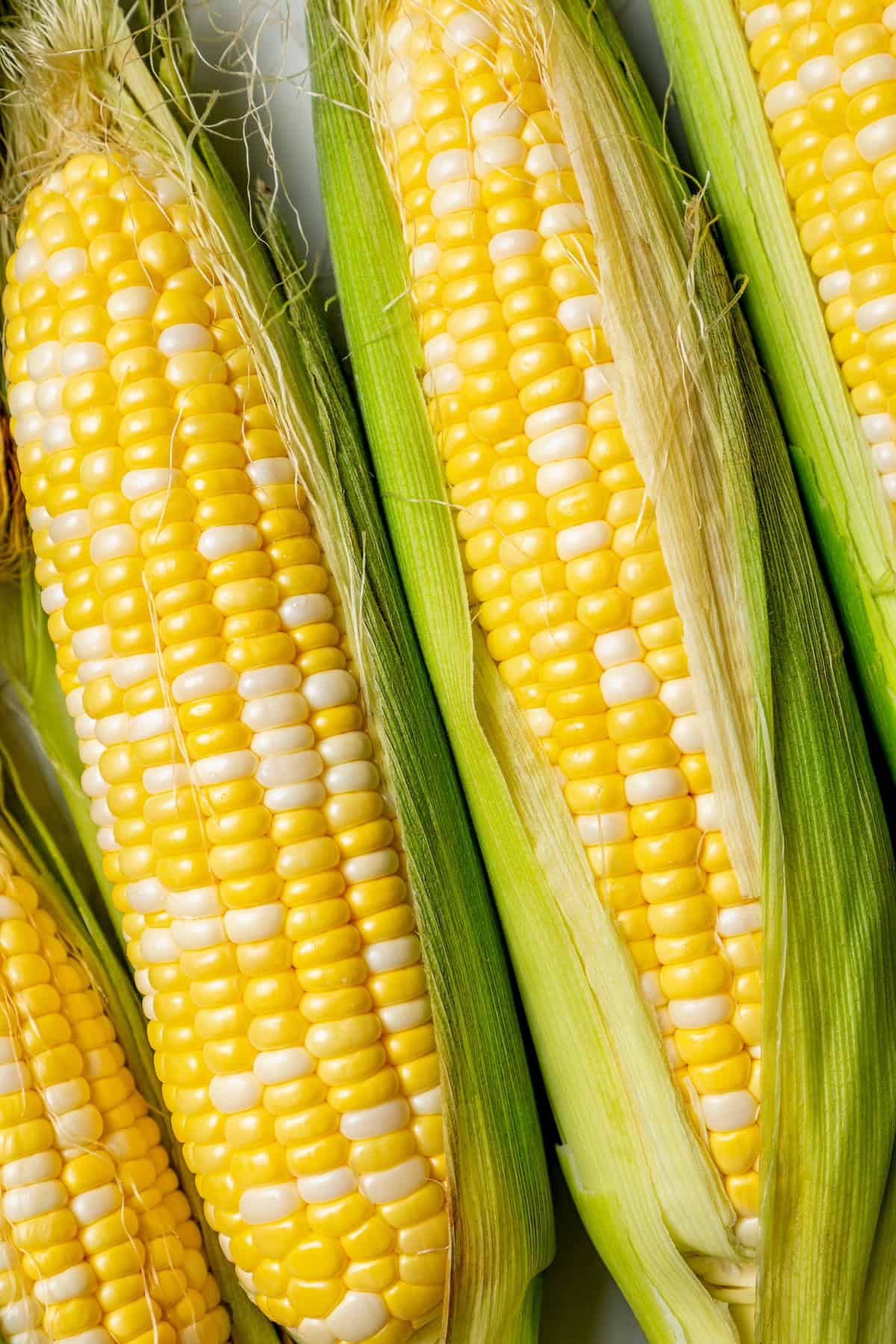 ears of sweet corn with some of the husks removed