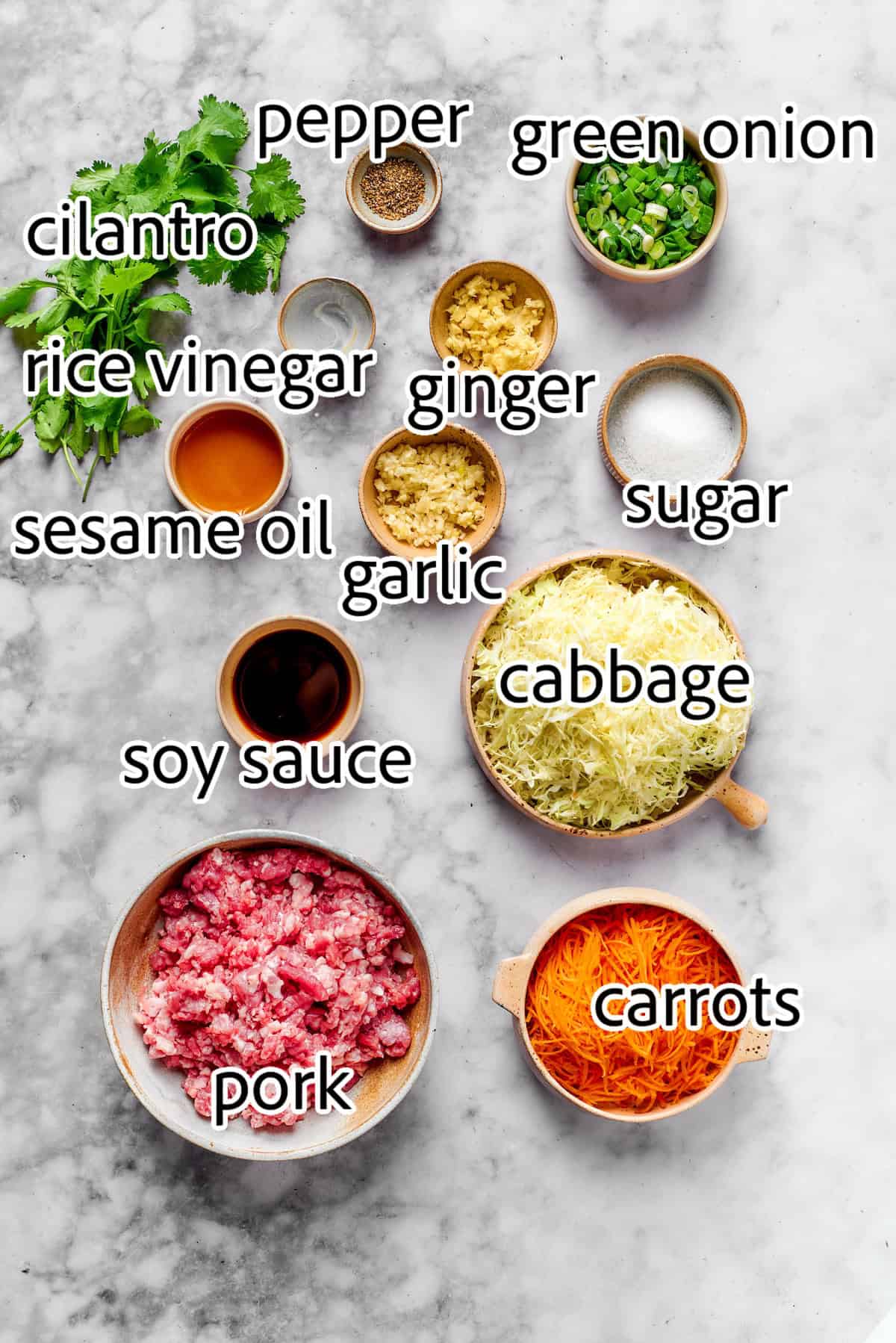 This easy Egg Roll in a Bowl recipe is loaded with ground pork, cabbage and carrots. Served with crispy wonton strips and a tasty Asian sauce! ingredients needed for egg roll in a bowl