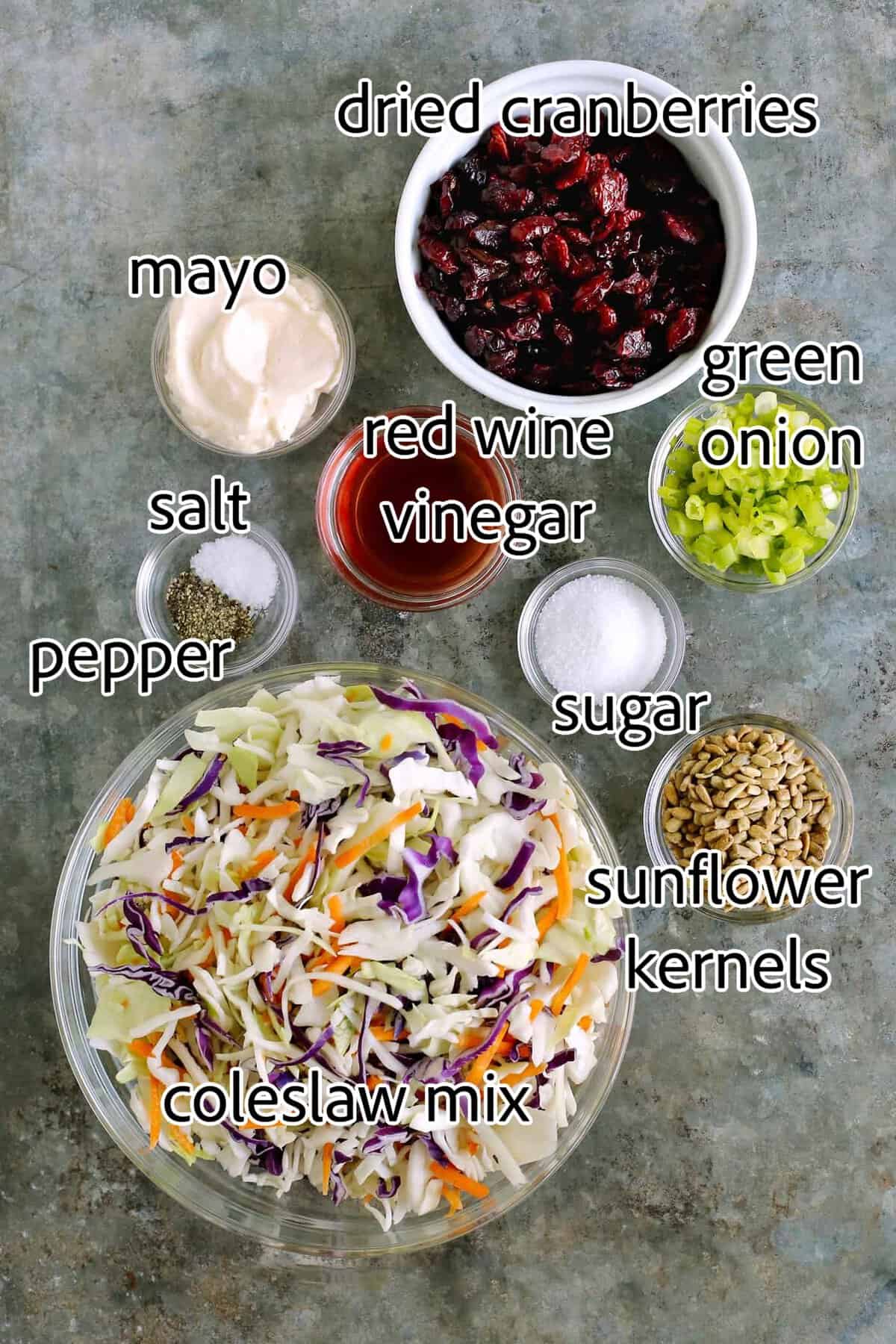 Made with a creamy, tangy dressing, dried cranberries, and sunflower kernels, this Cranberry Coleslaw is an easy side for any occasion. ingredients needed for cranberry coleslaw