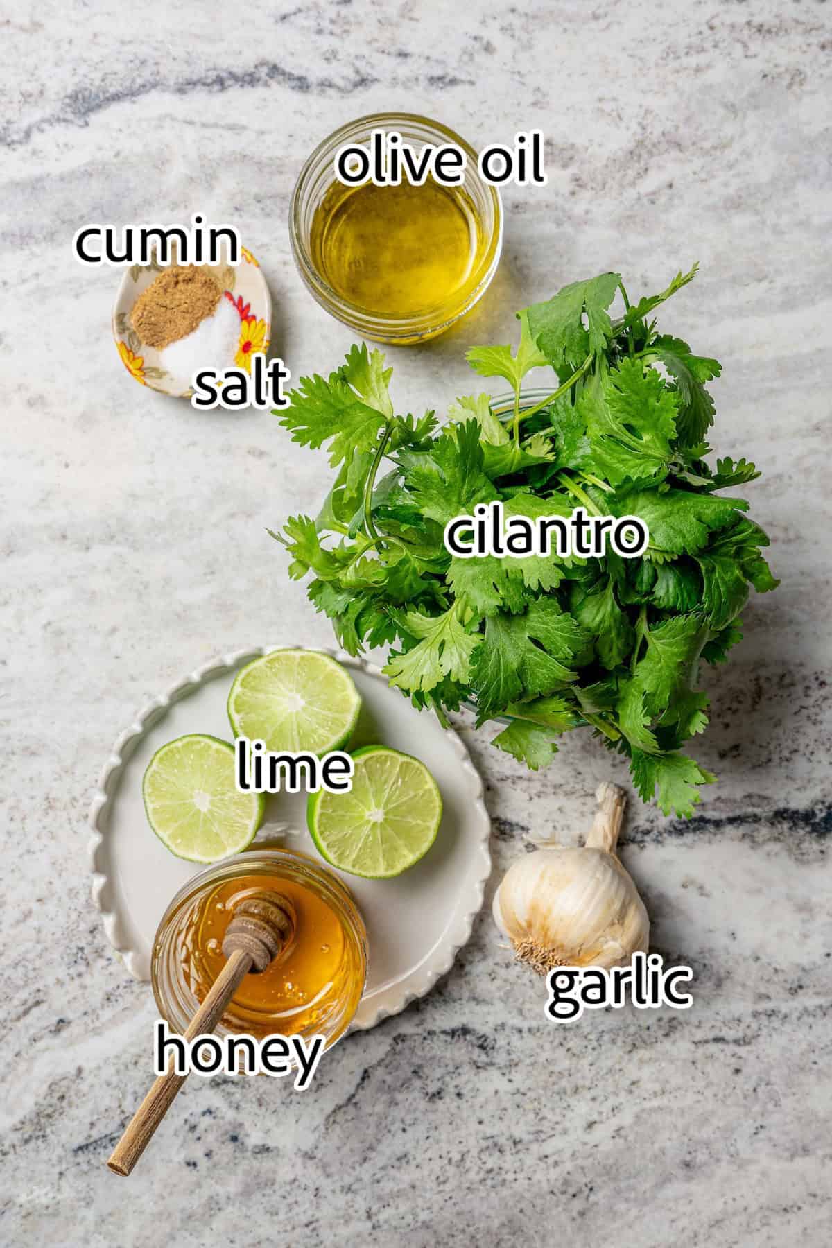This easy Cilantro Lime Vinaigrette recipe is boldly herbaceous, brightly flavored with fresh lime, just a touch sweet and a bit garlicky. ingredients needed for cilantro lime vinaigrette