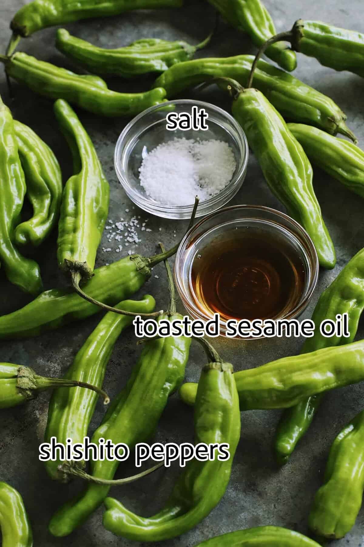 This Blistered Shishito Peppers recipe comes together quickly, with just a few ingredients - one of the easiest appetizers you'll ever make! ingredients needed for blistered shishito peppers