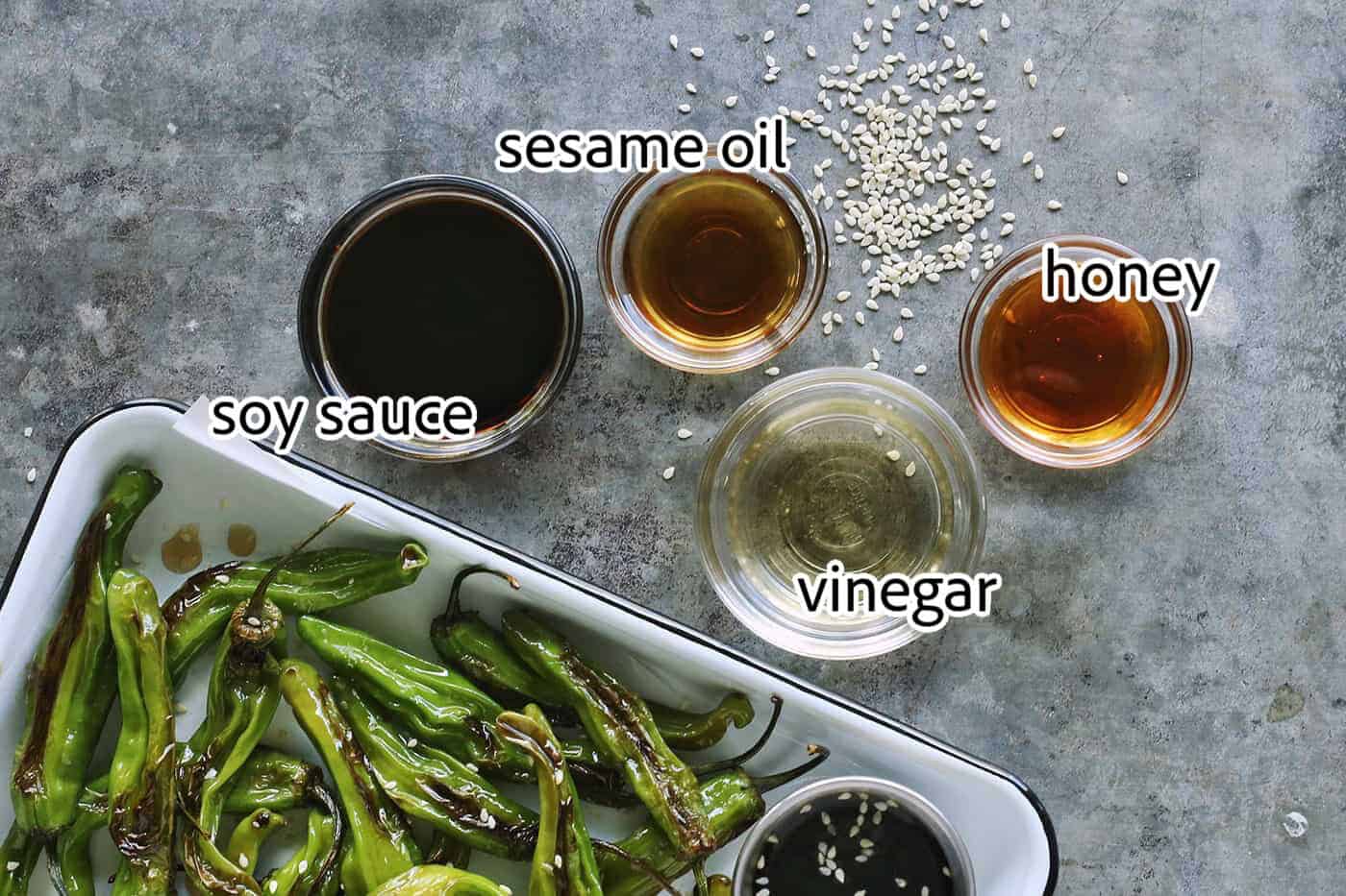 This Blistered Shishito Peppers recipe comes together quickly, with just a few ingredients - one of the easiest appetizers you'll ever make! ingredients needed for blistered shishito peppers