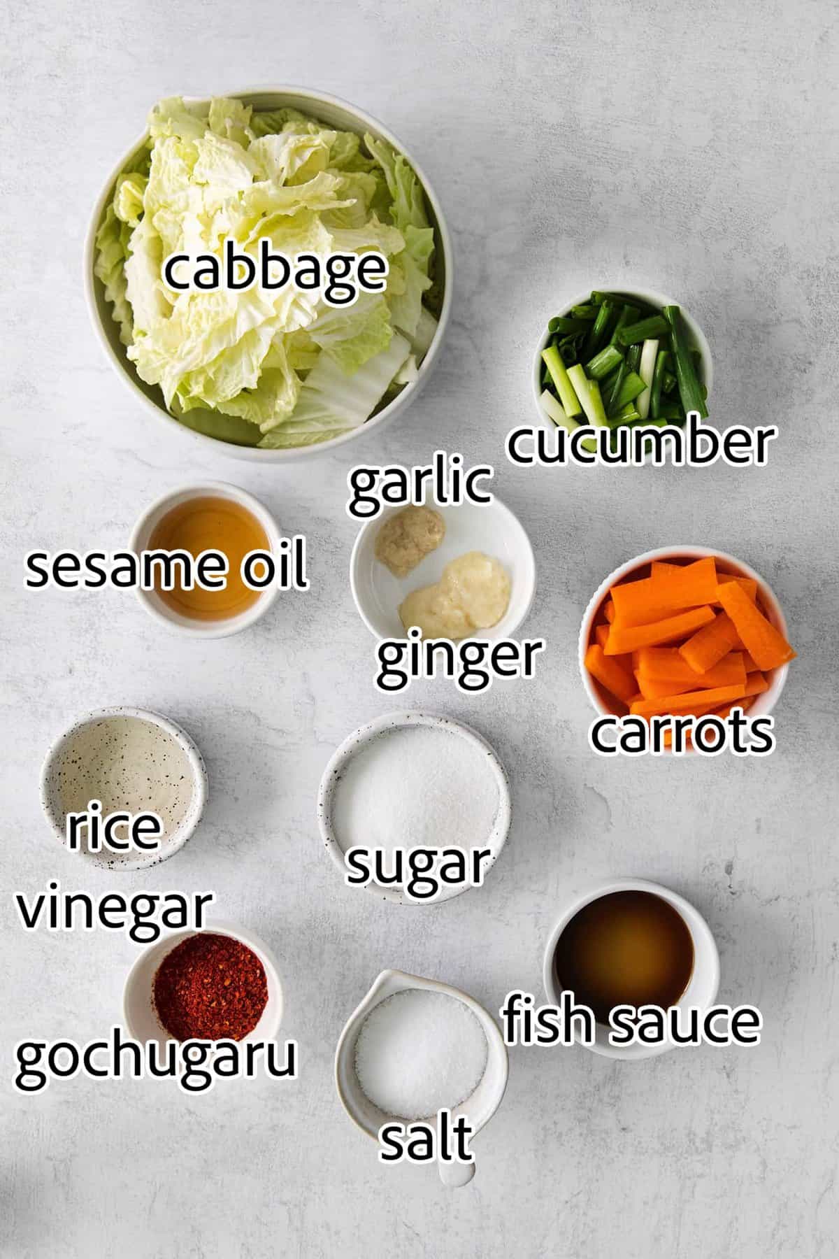 ingredients needed for quick kimchi