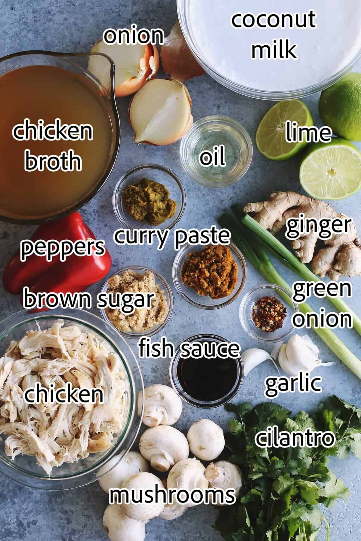 ingredients needed for coconut curry chicken soup