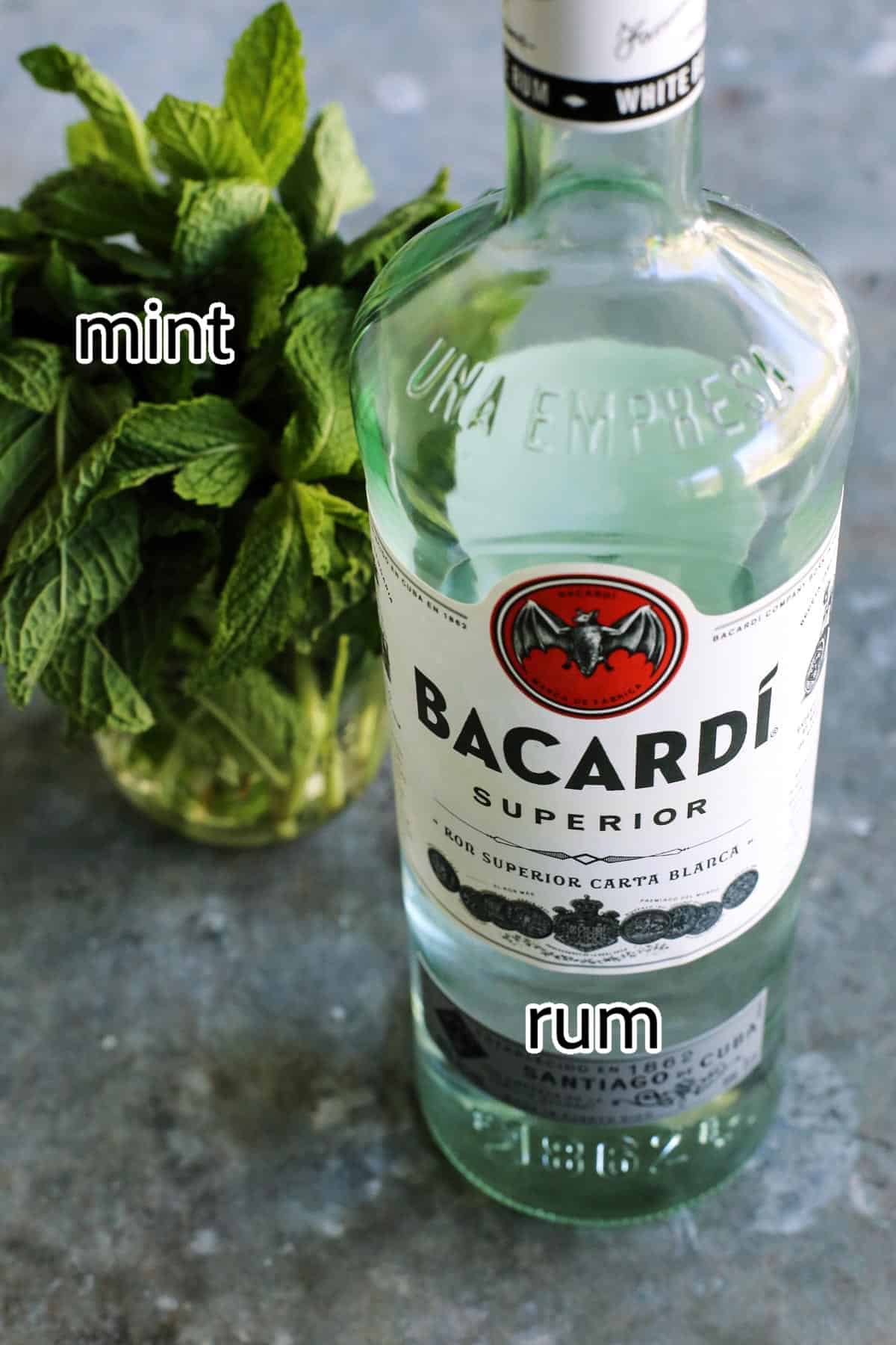 ingredients needed for mojito fruit salad