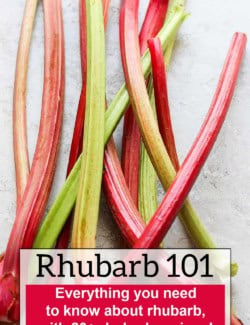 Pinterest image for Rhubarb 101: Everything you need to know about rhubarb, with 20+ rhubarb recipes!
